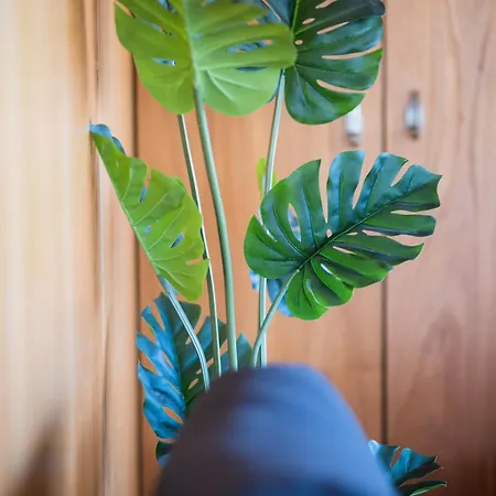 Casa vacanze Casa Do Lagar