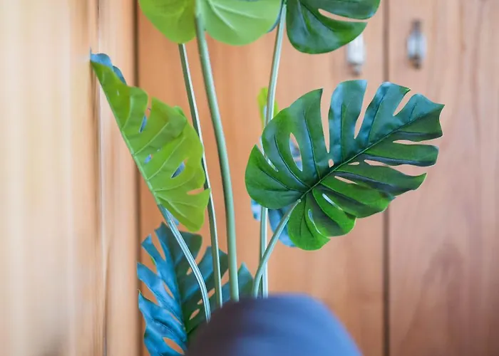 בית נופש Casa Do Lagar